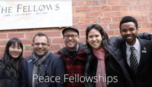 Rotary Peace Fellowship Programme