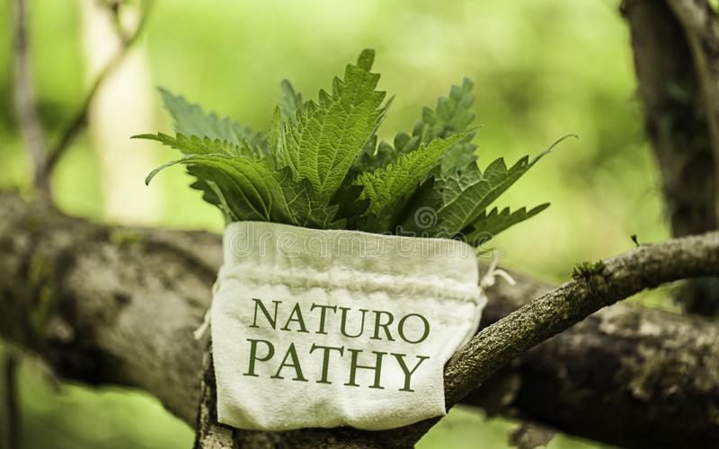 naturopathy online courses
